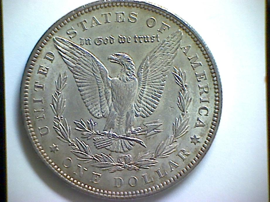 Grade-My-Morgans